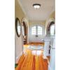 Westinghouse 64292 15-Inch Three-Light Flush Mount Fixture, Oil Rubbed Bronze with Frosted White Alabaster Globe(One light)