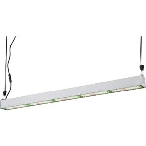 Westinghouse Lighting 6366000 SunStream 250-Watt (400-Watt HID Equivalent) Full Spectrum Indoor Horticulture LED Grow Light for Plants