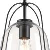 Westinghouse 6130100 Kewadin Transitional One Light Indoor Pendant, Matte Black Finish, Clear Glass