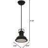 Westinghouse 63085A Boswell Pendant, Standard, Chrome(Oil Rubbed Bronze w/ Highlights)