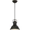 Westinghouse 63085A Boswell Pendant, Standard, Chrome(Oil-Rubbed Bronze)