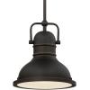 Westinghouse 63085A Boswell Pendant, Standard, Chrome(Oil-Rubbed Bronze)