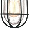 Westinghouse 6334800 Crestview One-Light Outdoor Pendant, Textured Black Finish with Clear Seeded Glass, Oil Rubbed Bronze(Black)