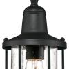 Westinghouse 6334800 Crestview One-Light Outdoor Pendant, Textured Black Finish with Clear Seeded Glass, Oil Rubbed Bronze(Black)