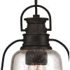 Westinghouse 6339900 Brynn One-Light Outdoor Pendant, Oil Rubbed Bronze Finish with Highlights and Clear Seeded Glass(Outdoor Pendant)