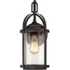 Westinghouse Lighting 6339400 Grandview One-Light Outdoor Pendant, Oil Rubbed Bronze Finish with Highlights and Clear Seeded Glass , Oil-rubbed Bronze(Black)