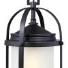 Westinghouse Lighting 6339400 Grandview One-Light Outdoor Pendant, Oil Rubbed Bronze Finish with Highlights and Clear Seeded Glass , Oil-rubbed Bronze(Matte Black)