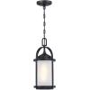 Westinghouse Lighting 6339400 Grandview One-Light Outdoor Pendant, Oil Rubbed Bronze Finish with Highlights and Clear Seeded Glass , Oil-rubbed Bronze(Matte Black)