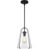 Westinghouse 6130100 Kewadin Transitional One Light Indoor Pendant, Matte Black Finish, Clear Glass