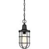 Westinghouse 6334800 Crestview One-Light Outdoor Pendant, Textured Black Finish with Clear Seeded Glass, Oil Rubbed Bronze(Black)