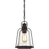 Westinghouse 6339900 Brynn One-Light Outdoor Pendant, Oil Rubbed Bronze Finish with Highlights and Clear Seeded Glass(Outdoor Pendant)