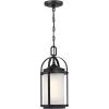 Westinghouse Lighting 6339400 Grandview One-Light Outdoor Pendant, Oil Rubbed Bronze Finish with Highlights and Clear Seeded Glass , Oil-rubbed Bronze(Matte Black)