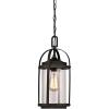 Westinghouse Lighting 6339400 Grandview One-Light Outdoor Pendant, Oil Rubbed Bronze Finish with Highlights and Clear Seeded Glass , Oil-rubbed Bronze(Oil-Rubbed Bronze)