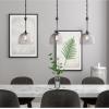 Westinghouse 6130300 Camrose Transitional One Light Indoor Pendant, Gun Metal Finish, Smoke Grey Ribbed Glass