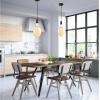 Westinghouse Lighting 6357300 One-Light Dimmable LED Indoor Mini Pendant, Oil Rubbed Bronze Finish with Oversized BT54 Filament LED