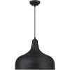 Westinghouse Lighting 6371700, Textured Iron Finish Morton One-Light Indoor Pendant, Black, one Size