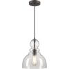 Westinghouse 6129900 Fiona Traditional One Light Indoor Pendant, Black-Bronze Finish with Highlights, Clear Seeded Glass