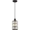 Westinghouse 6338400 Sophie One-Light Indoor Mini Pendant, Oil Rubbed Bronze Finish with Crystal Prism Glass, White(White)