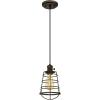 Westinghouse 6323600 Pendant, Oil Rubbed Bronze