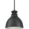 Westinghouse 6326800 One-Light Indoor Pendant, Matte Gun Metal Finish with Mesh Detail, Brushed Gunmetal(Brushed Gunmetal)