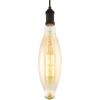 Westinghouse Lighting 6357200 One-Light Dimmable LED Indoor Mini Pendant, Oil Rubbed Bronze Finish with Oversized E38 Filament LED