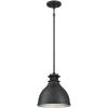 Westinghouse 6326800 One-Light Indoor Pendant, Matte Gun Metal Finish with Mesh Detail, Brushed Gunmetal(Brushed Gunmetal)