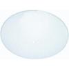 Westinghouse Lighting 81819 Corp 13-Inch Round Glass Diffuser