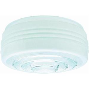 Westinghouse Lighting 81609 Corp 10-Inch Drum Light Globe(1)